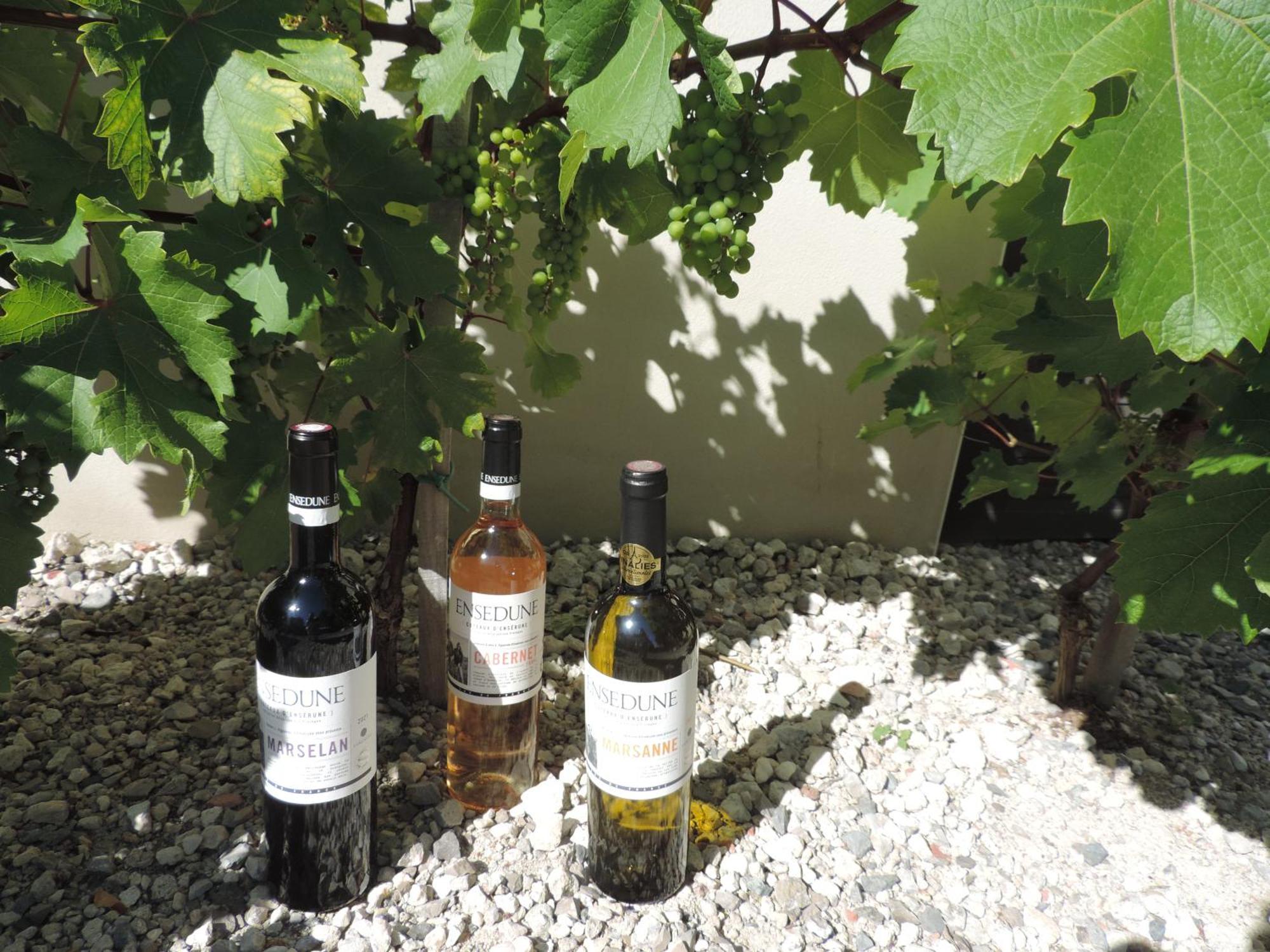 吉茨乐瓦尔利酒店 Sallèles-dʼAude 外观 照片